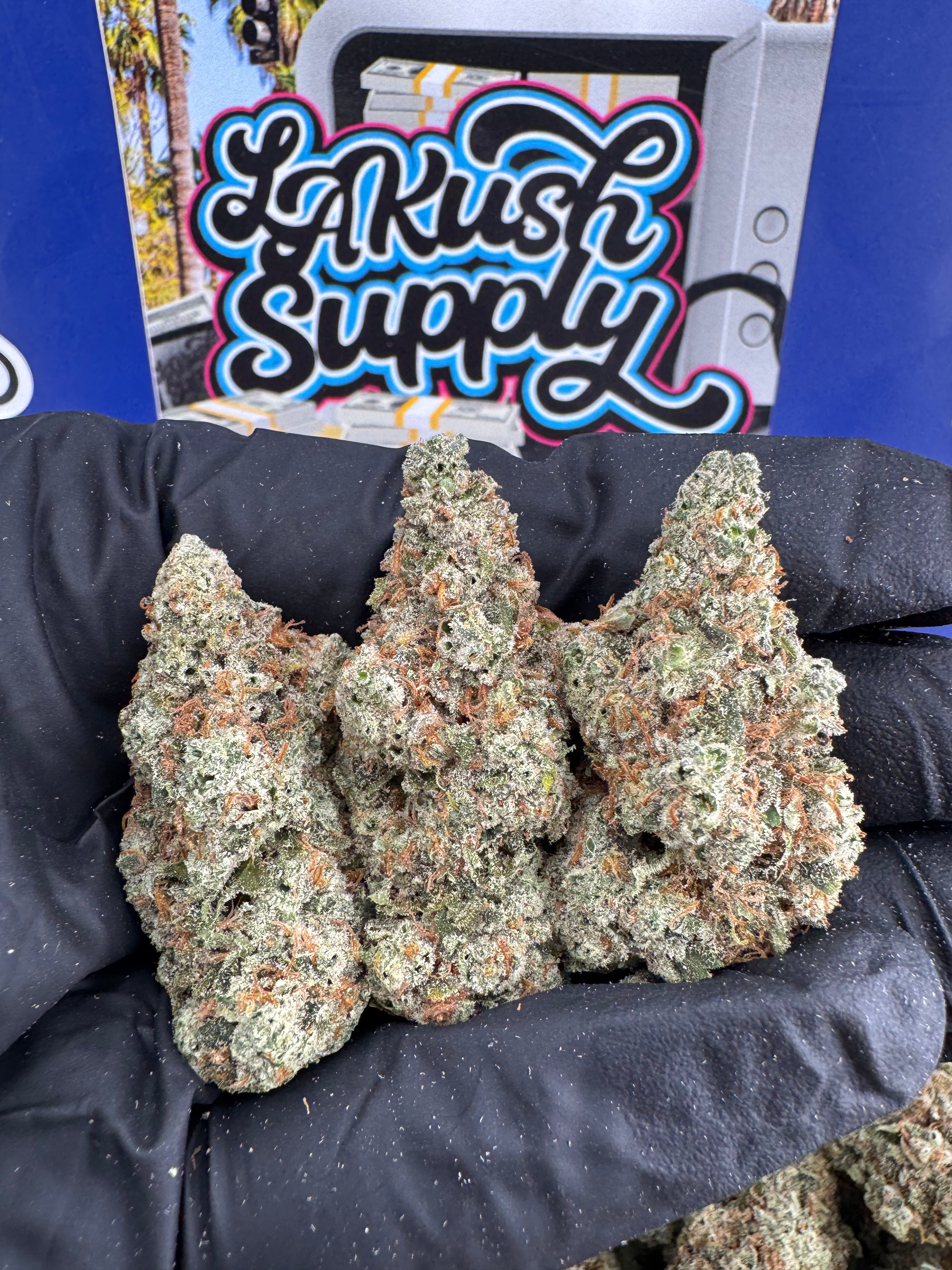 Purple Wizard