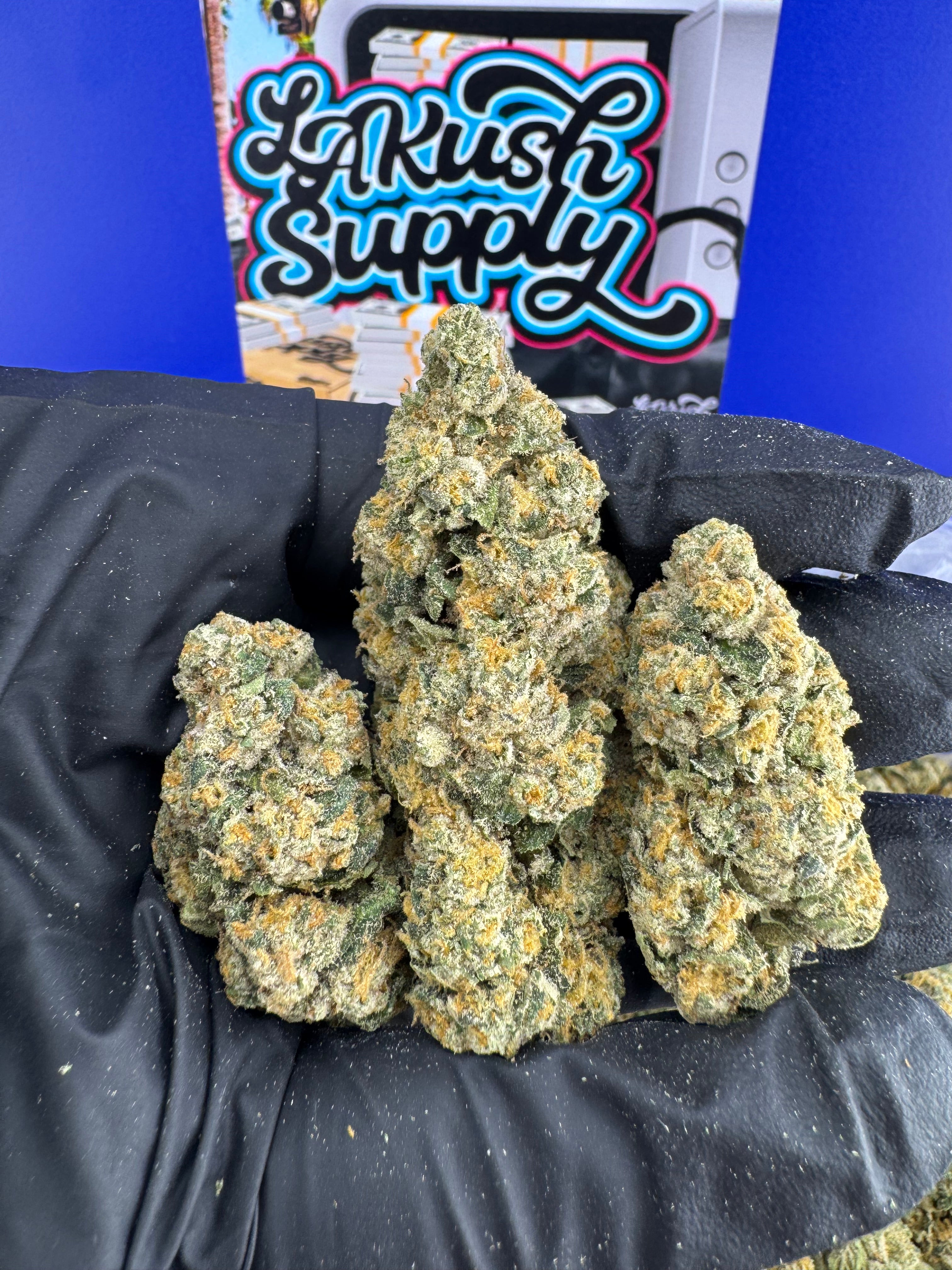 Gelato 25