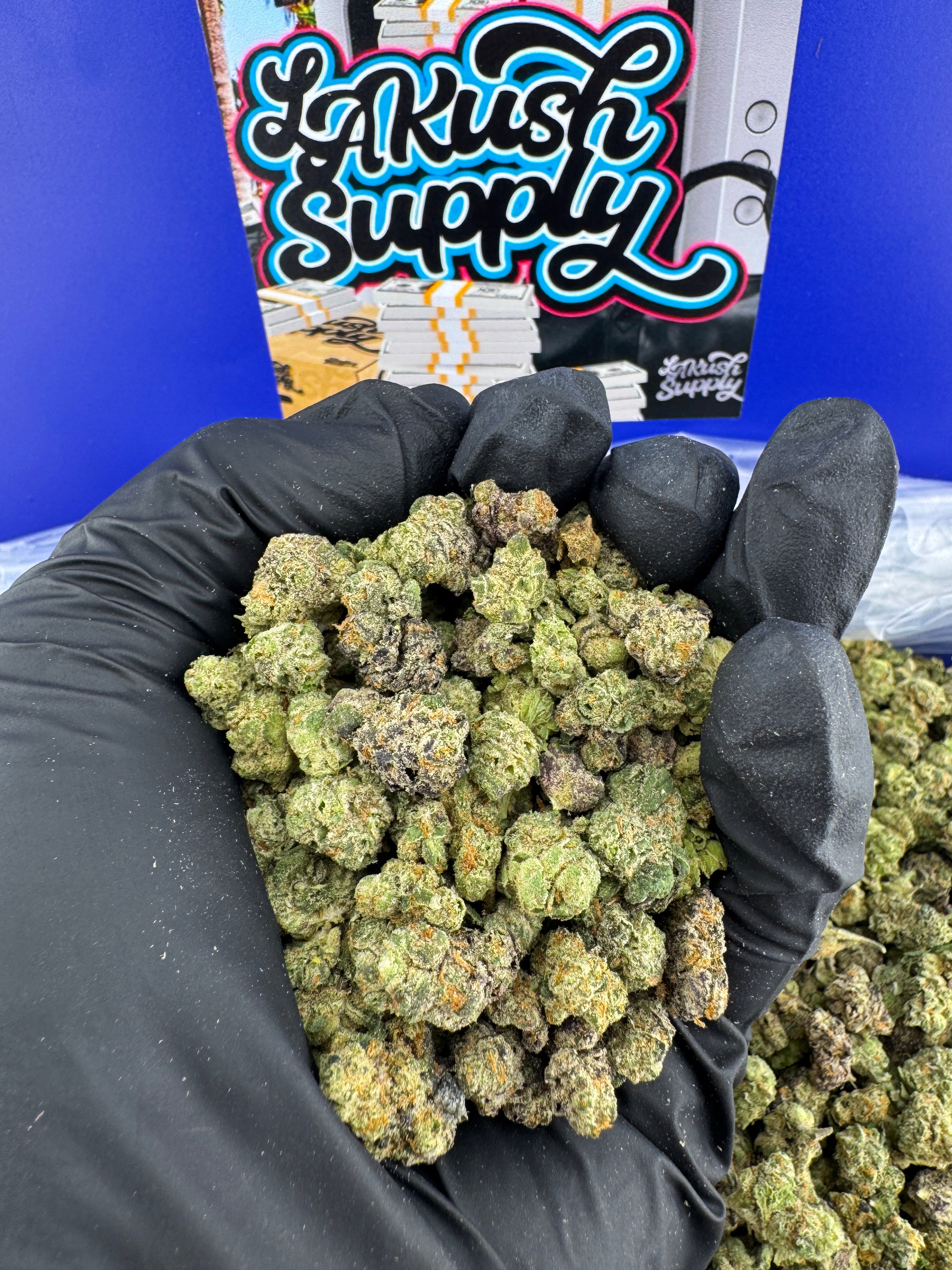 Blueberry Slushy